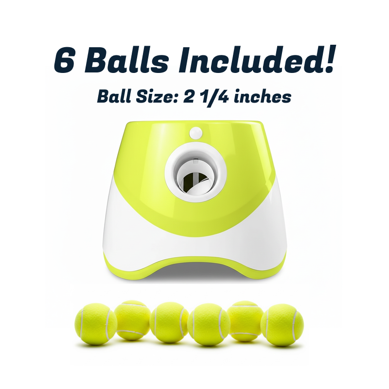 The Happy-Tails Automatic Fetch Machine